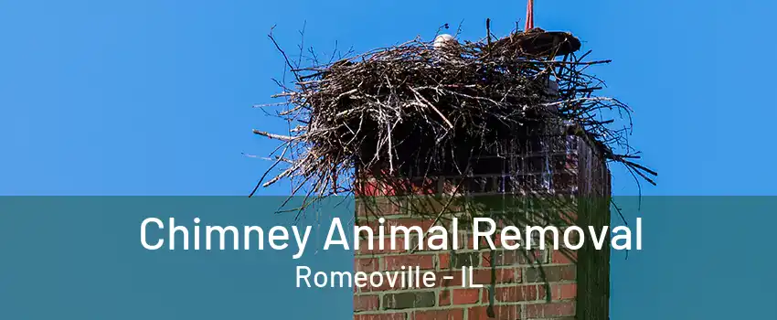 Chimney Animal Removal Romeoville - IL