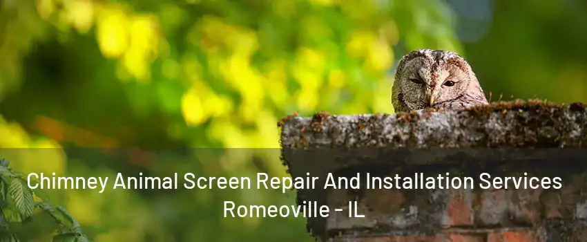 Chimney Animal Screen Repair And Installation Services Romeoville - IL