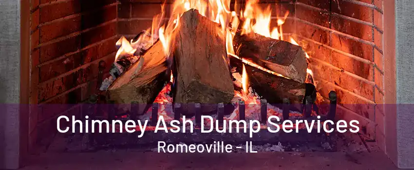 Chimney Ash Dump Services Romeoville - IL