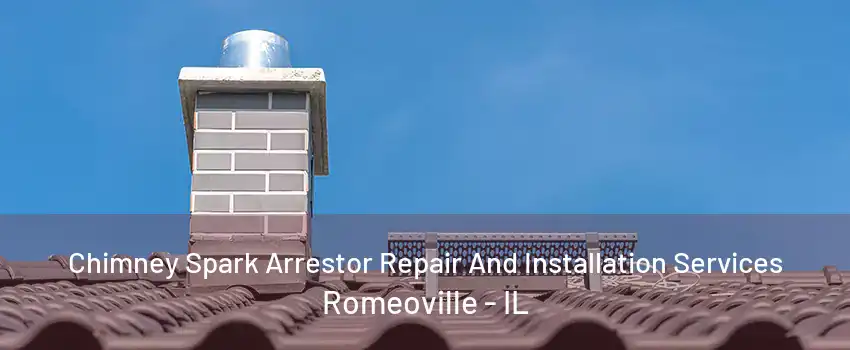 Chimney Spark Arrestor Repair And Installation Services Romeoville - IL