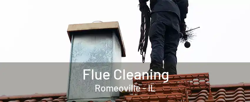 Flue Cleaning Romeoville - IL