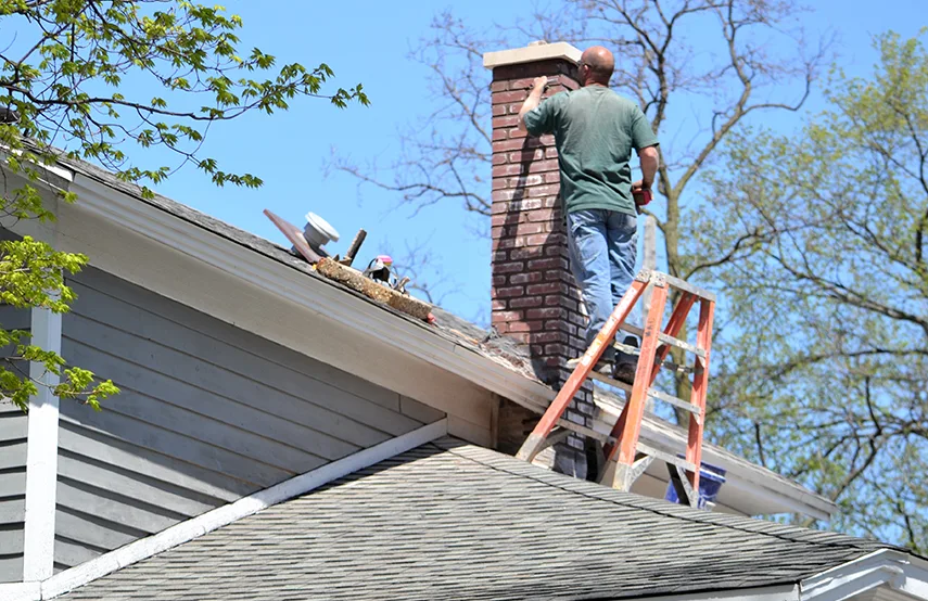 Chimney & Fireplace Inspections Services in Romeoville