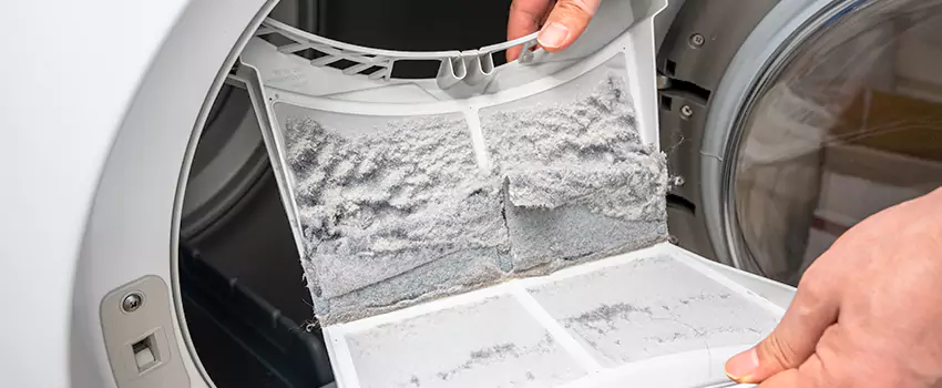 Best Dryer Lint Removal Company in Romeoville, Illinois