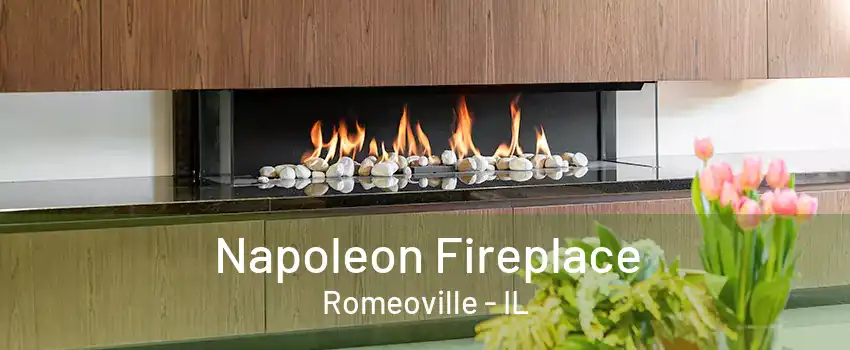 Napoleon Fireplace Romeoville - IL